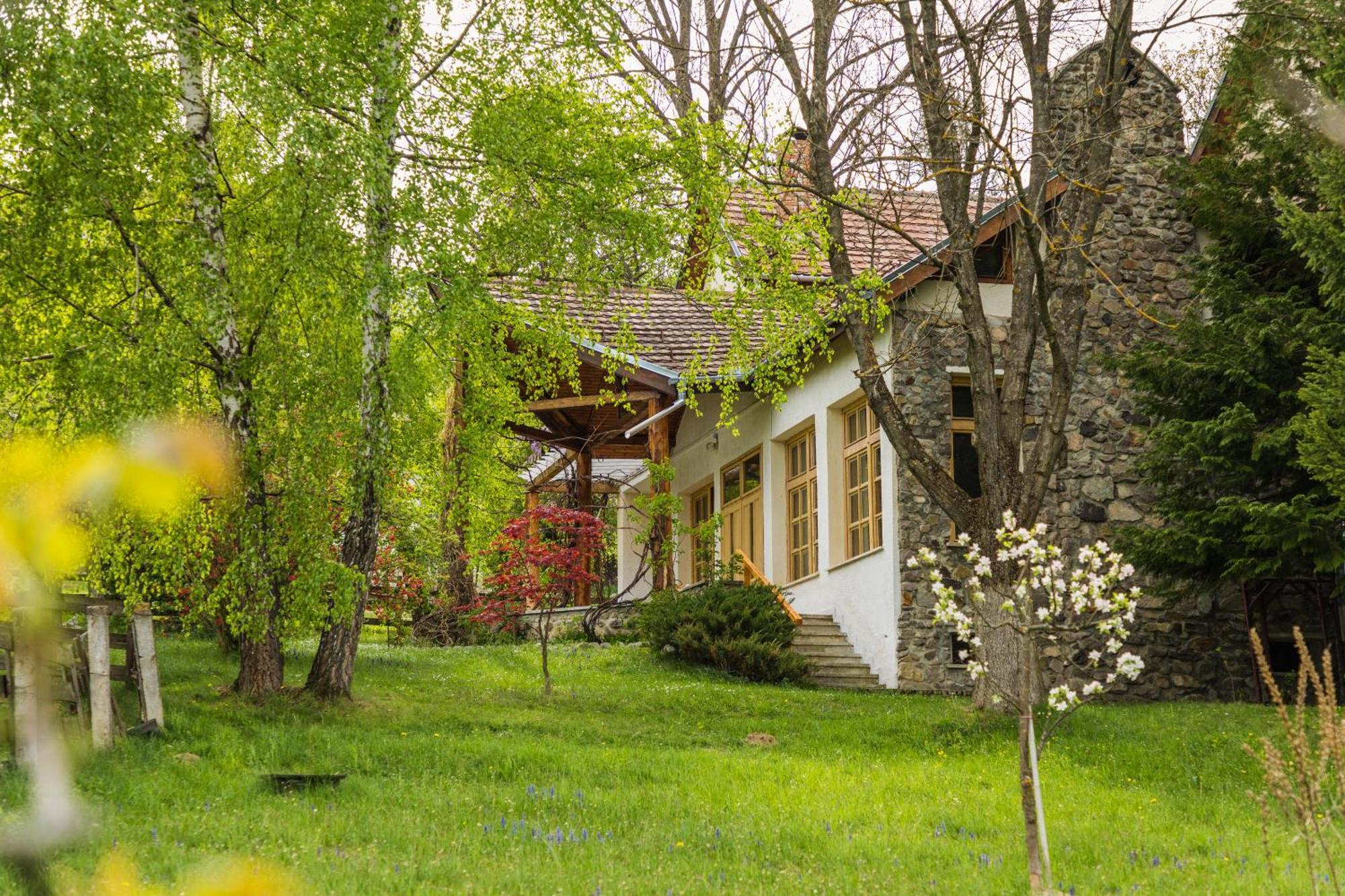 Villa Alba By Akasha Retreat Bran  Exterior photo